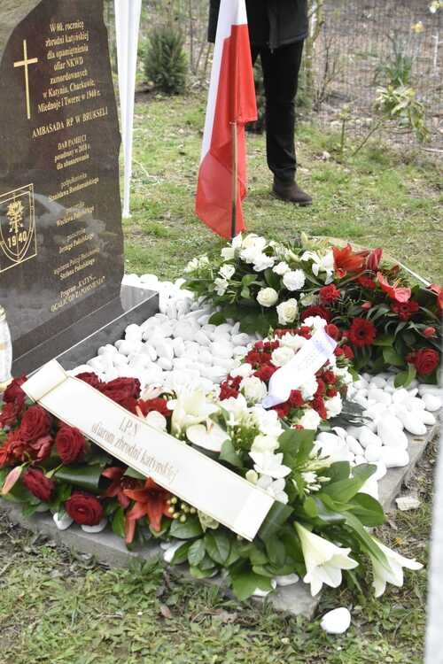 342332582_251174177357812_29437191570537264_n