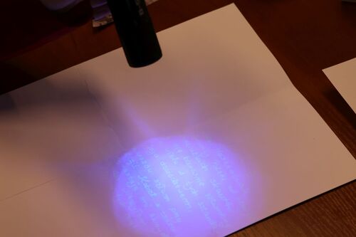 Fot. Michał Maciuk, Kamila Rybarczyk