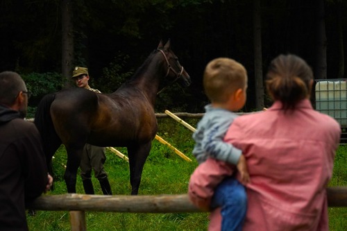 Tomaszów Lubelski 2025 (3)