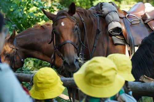 Tomaszów Lub. 2025 (7)