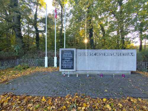Kuźnica Zbąska (pow. grodziski) pomnik w Kuźnicy Zbąskiej (powiat grodziski) upamiętniający 12 nieznanych osób rozstrzelanych we wrześniu 1939 roku przez Niemców, fot. Rozalia Kaczmarek (SMHW).