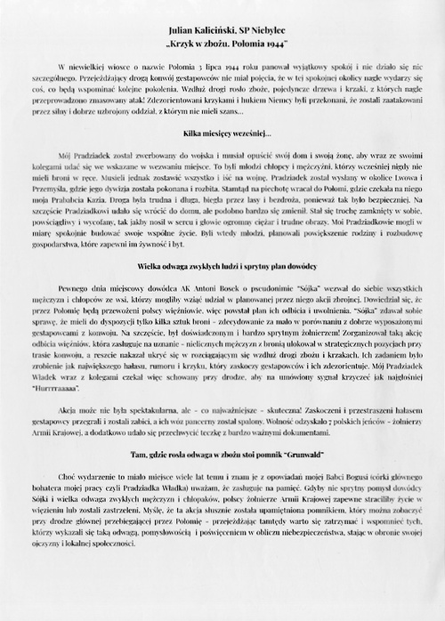 Julian Kalicinski_opis