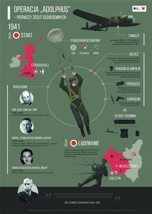Infografiki, Polskei Siły Zbrojne