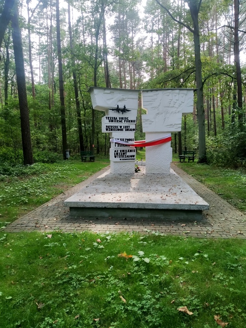Lasy Palędzko-Zakrzewskie (3)