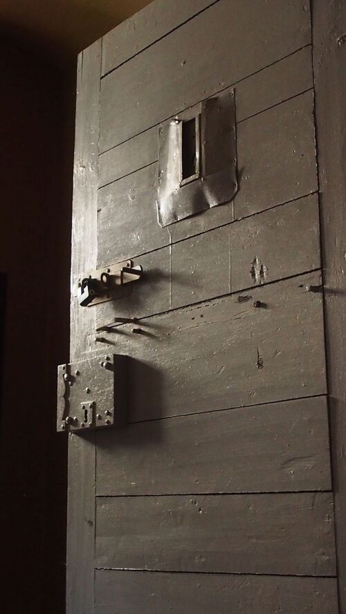 Fot. Marzena Kumosińska