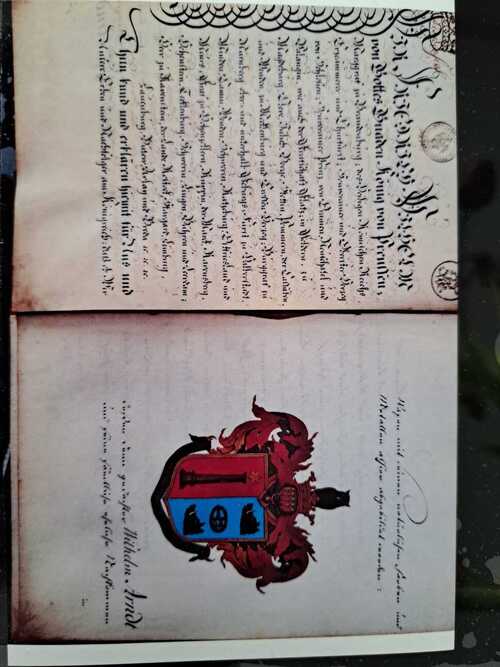 441526364_405279259011865_465369016227379831_n